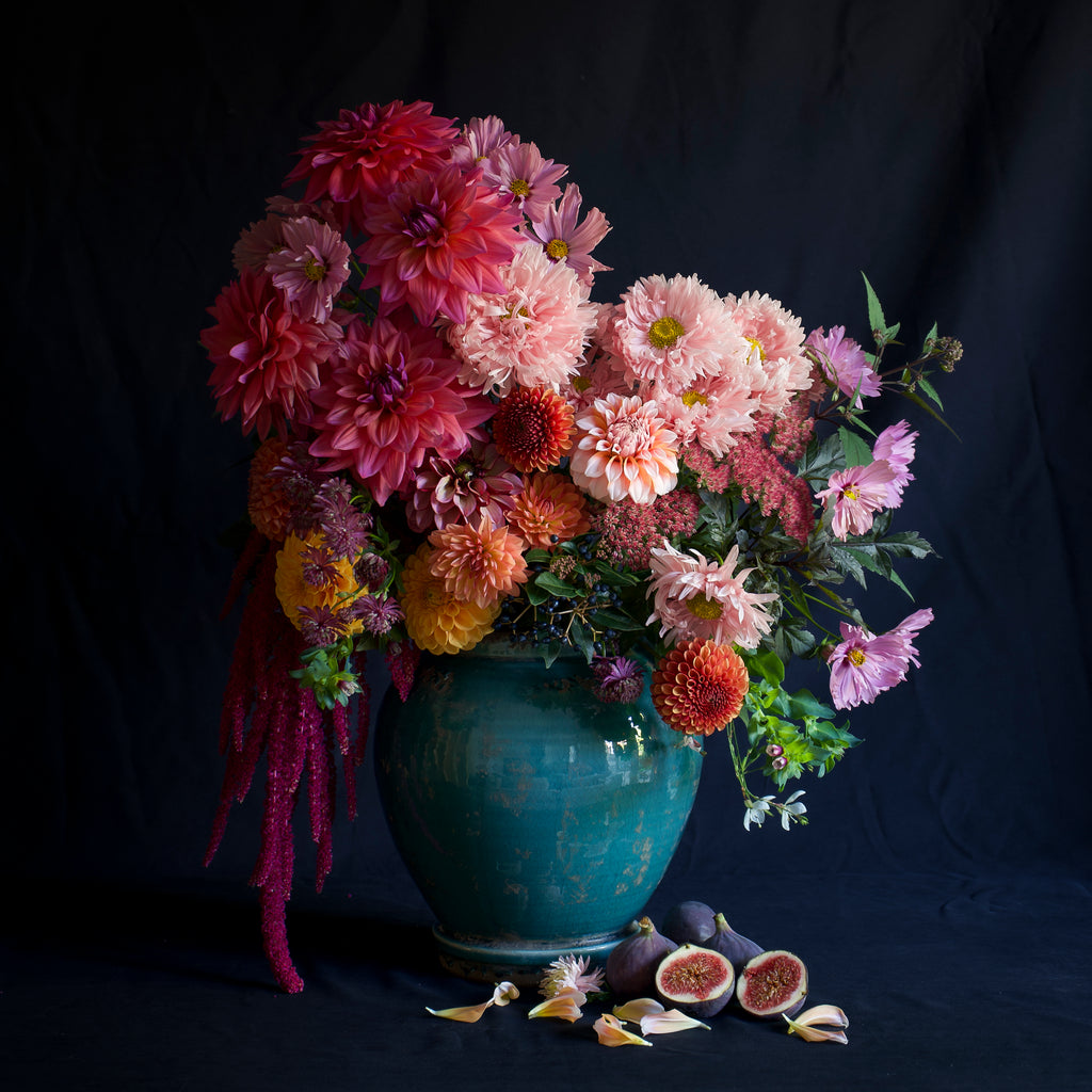 A bouquet of pink, red, orange, and purple flowers including dahlias, amaranth, cosmos, in the style of still life, in a teal ceramic vase, with figs and flower petals in front against a dark background.


