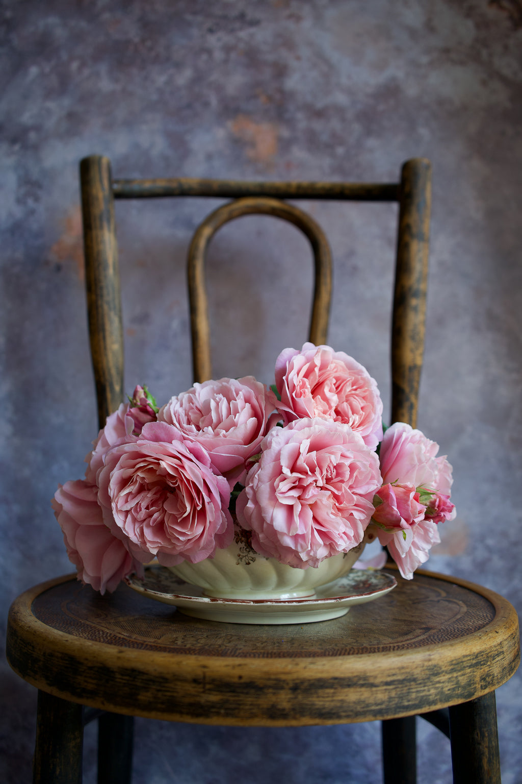 Main image Nan's Rose