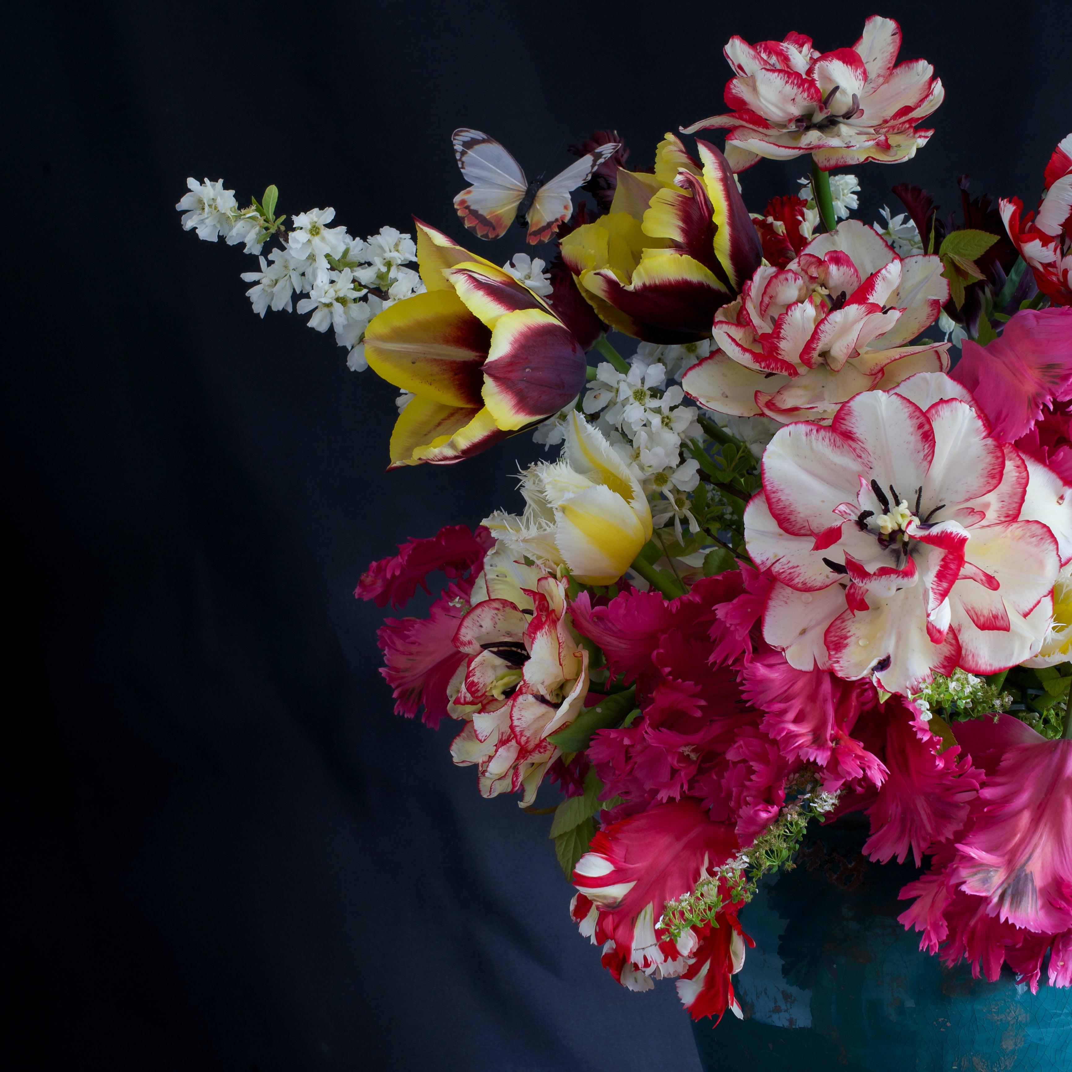 A close up of spring flowers including spring blossom and tulips on a black background with a butterfly.


